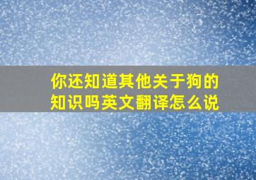 你还知道其他关于狗的知识吗英文翻译怎么说