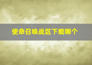 使命召唤战区下载哪个