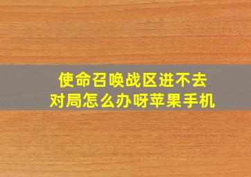 使命召唤战区进不去对局怎么办呀苹果手机