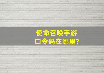 使命召唤手游口令码在哪里?