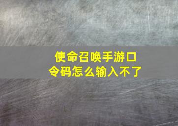 使命召唤手游口令码怎么输入不了