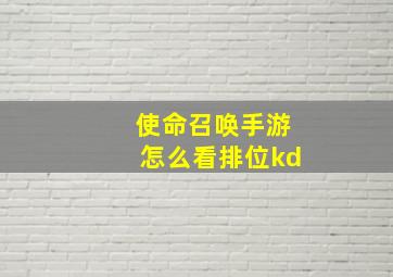 使命召唤手游怎么看排位kd