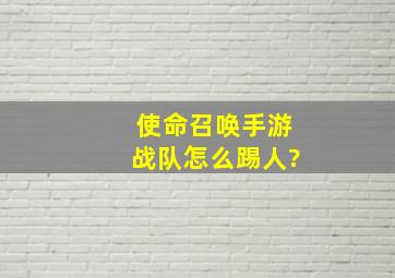 使命召唤手游战队怎么踢人?