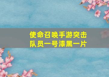 使命召唤手游突击队员一号漆黑一片