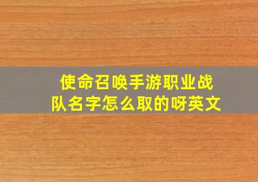 使命召唤手游职业战队名字怎么取的呀英文