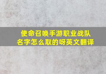 使命召唤手游职业战队名字怎么取的呀英文翻译