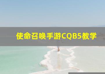 使命召唤手游CQB5教学