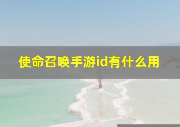 使命召唤手游id有什么用