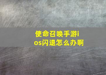 使命召唤手游ios闪退怎么办啊