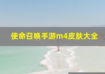 使命召唤手游m4皮肤大全