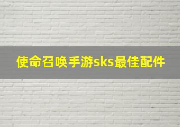 使命召唤手游sks最佳配件