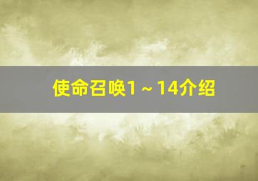 使命召唤1～14介绍