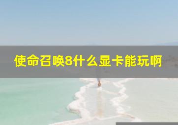 使命召唤8什么显卡能玩啊