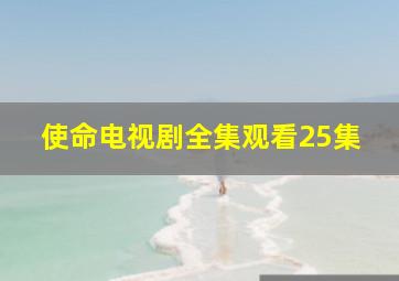 使命电视剧全集观看25集