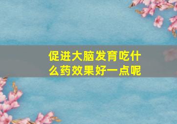 促进大脑发育吃什么药效果好一点呢