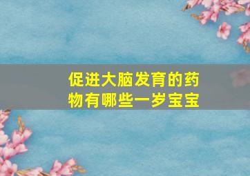 促进大脑发育的药物有哪些一岁宝宝