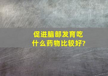 促进脑部发育吃什么药物比较好?