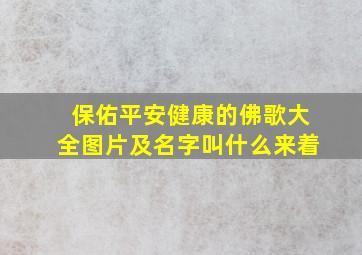 保佑平安健康的佛歌大全图片及名字叫什么来着