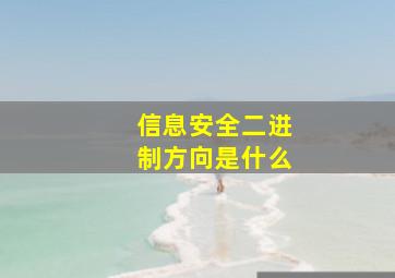 信息安全二进制方向是什么