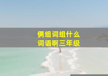 俩组词组什么词语啊三年级