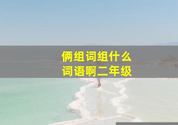 俩组词组什么词语啊二年级