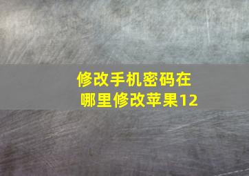 修改手机密码在哪里修改苹果12