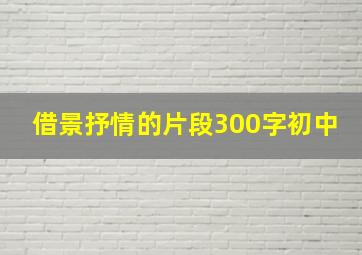 借景抒情的片段300字初中