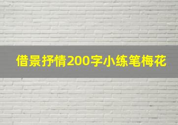 借景抒情200字小练笔梅花