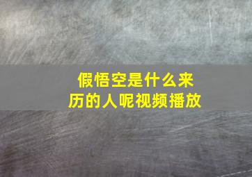 假悟空是什么来历的人呢视频播放