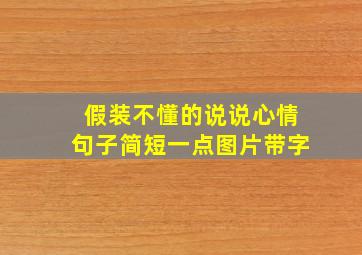 假装不懂的说说心情句子简短一点图片带字