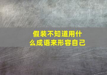 假装不知道用什么成语来形容自己