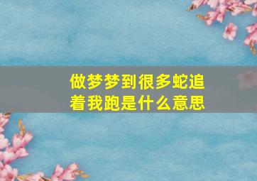 做梦梦到很多蛇追着我跑是什么意思