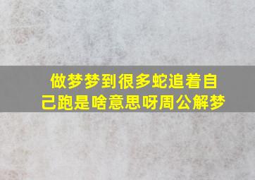 做梦梦到很多蛇追着自己跑是啥意思呀周公解梦