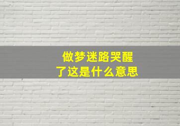 做梦迷路哭醒了这是什么意思