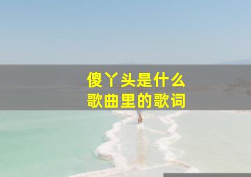 傻丫头是什么歌曲里的歌词