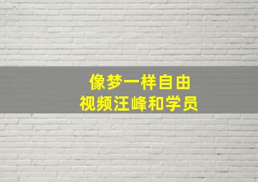 像梦一样自由视频汪峰和学员