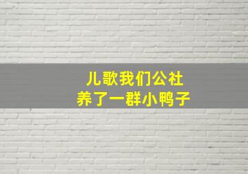 儿歌我们公社养了一群小鸭子