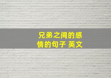 兄弟之间的感情的句子 英文