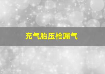 充气胎压枪漏气