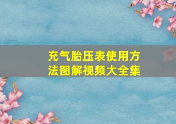 充气胎压表使用方法图解视频大全集