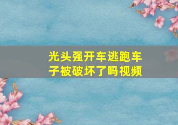 光头强开车逃跑车子被破坏了吗视频