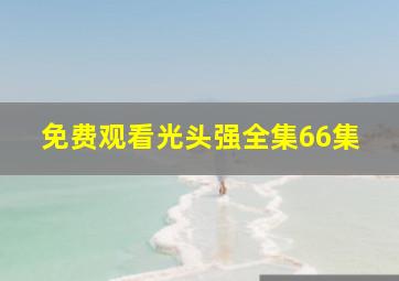 免费观看光头强全集66集