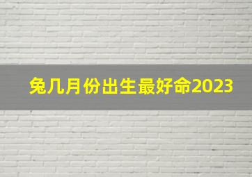 兔几月份出生最好命2023