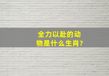 全力以赴的动物是什么生肖?