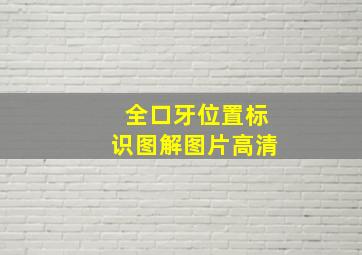 全口牙位置标识图解图片高清