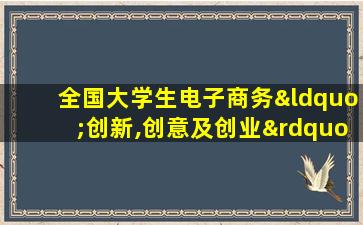 全国大学生电子商务“创新,创意及创业”挑战赛