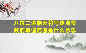 八位二进制无符号定点整数的取值范围是什么意思