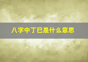 八字中丁巳是什么意思