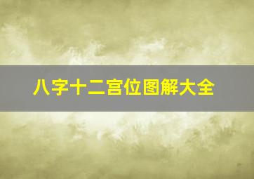 八字十二宫位图解大全