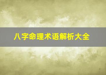 八字命理术语解析大全